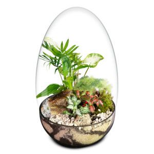 Biogarden Ecosistema terrario Jardín Botánico Van Gogh con base en terra natural