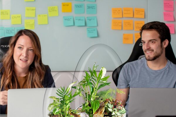 Biogarden Ecosistema terrario Jardín Botánico Van Gogh en la decoración y regalo de tus momentos favoritos Biogarden Ecosistema terrario Jardín Botánico Van Gogh en la decoración y regalo de tus momentos favoritos