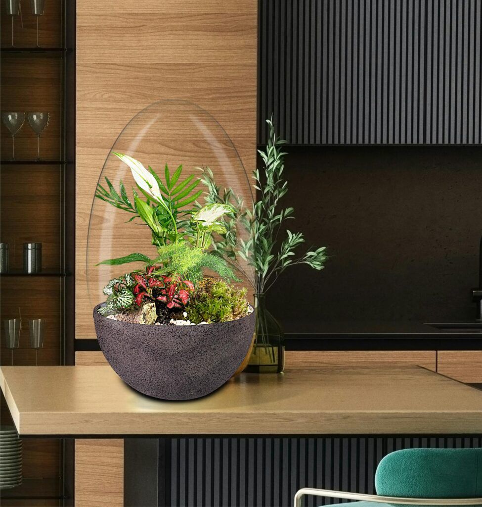 Biogarden Ecosistema terrario Jardín Botánico Van Gogh en la decoración y regalo de tus momentos favoritos