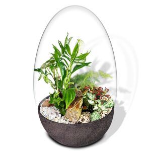 Biogarden Ecosistema terrario Jardín Botánico Van Gogh con base en ANTRACITA