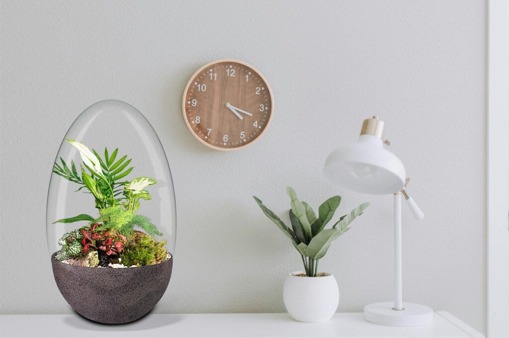 Biogarden, ecosistema terrario Jardín Botánico Van Gogh formando parte de la decoración de tu espacio y los regalos más sorprendentes y especiales