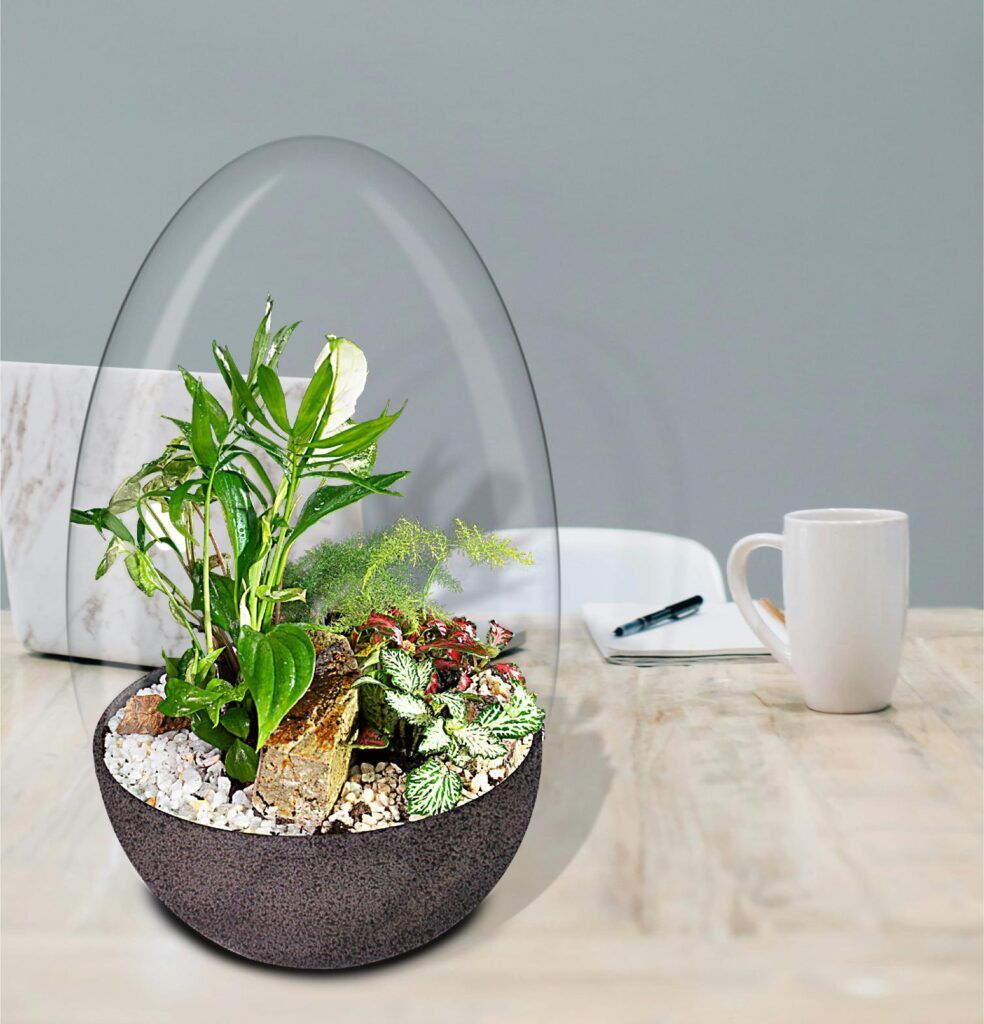 Biogarden Ecosistema terrario Jardín Botánico Van Gogh en la decoración y regalo de tus momentos favoritos