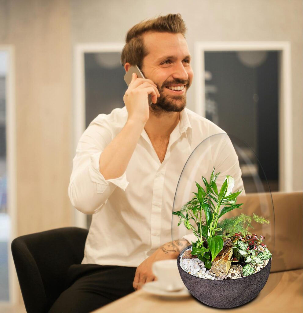 Biogarden Ecosistema terrario Jardín Botánico Van Gogh en la decoración y regalo de tus momentos favoritos y tus regalos
