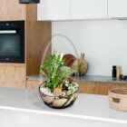 Biogarden Ecosistema terrario Jardín Botánico Van Gogh en la decoración y regalo de tus momentos favoritos