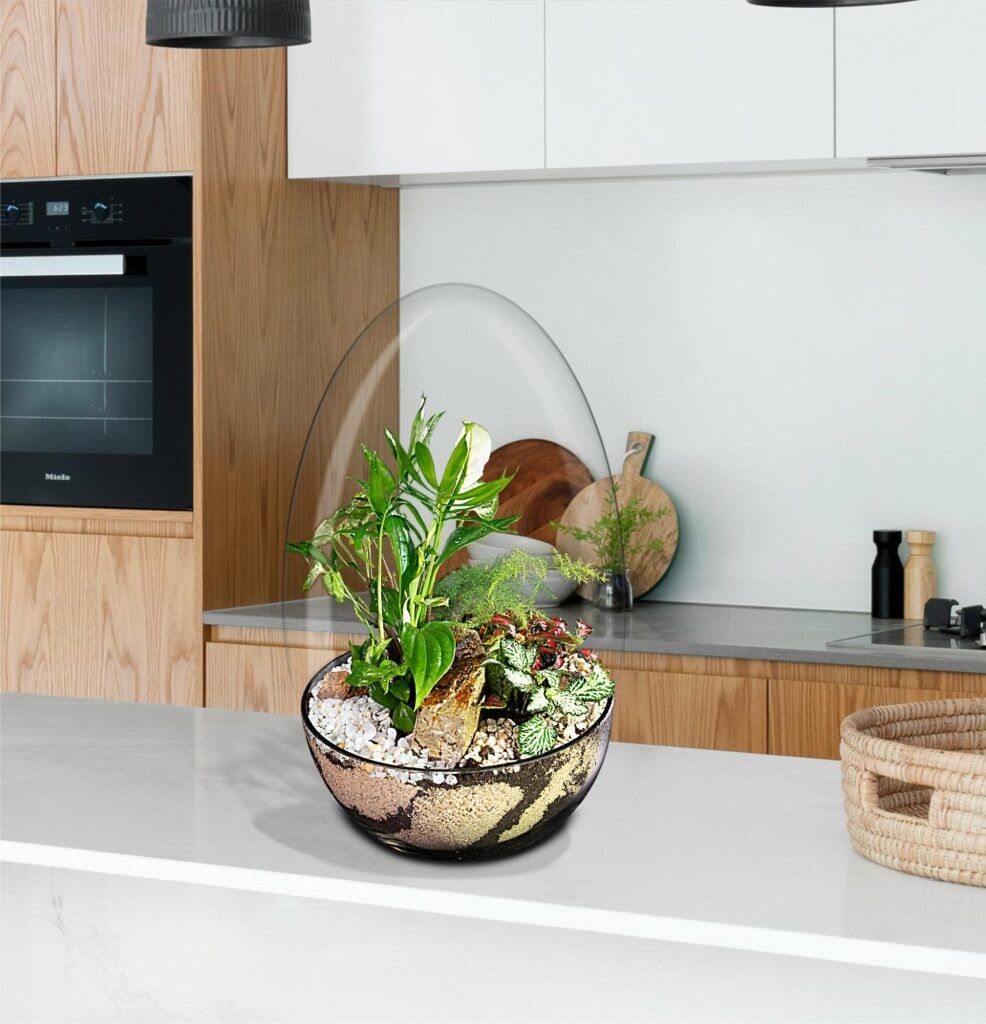 Biogarden Ecosistema terrario Jardín Botánico Van Gogh en la decoración y regalo de tus momentos favoritos