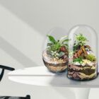 Ecosistema terrario BONSÄI POCKET decoración natural