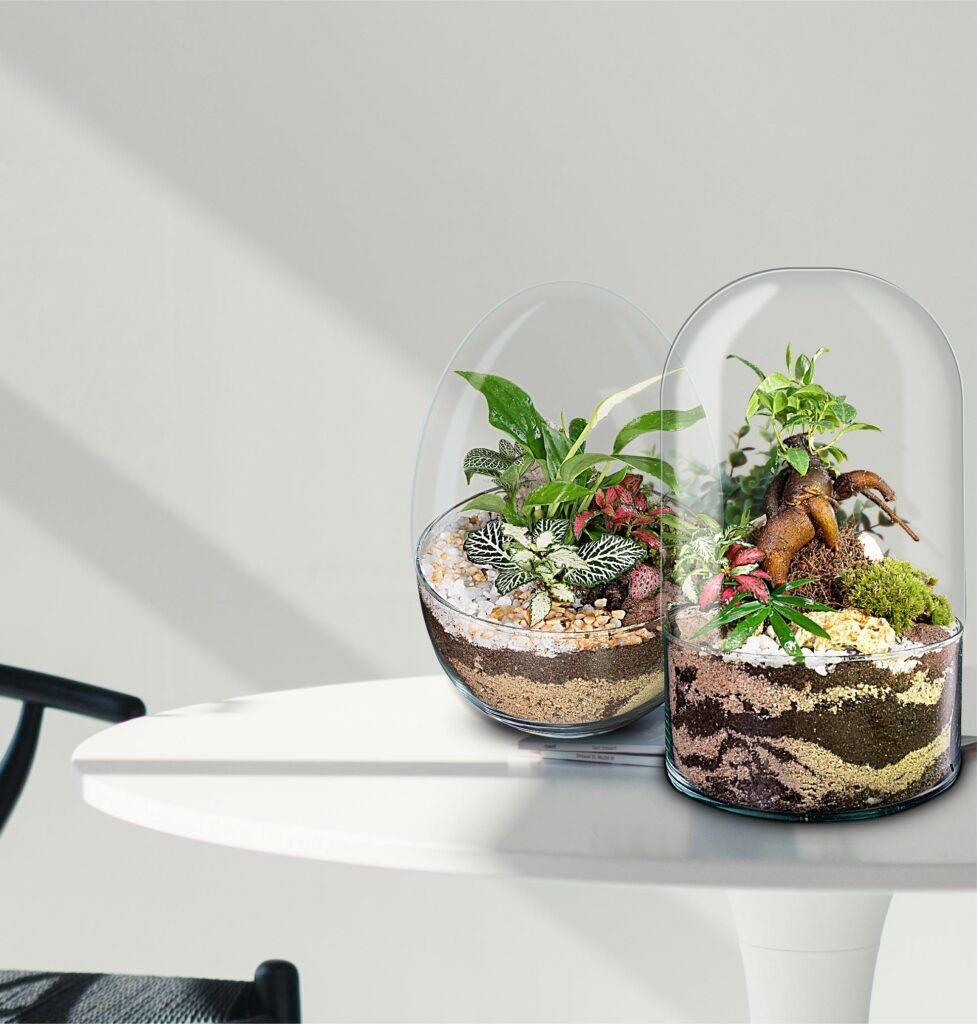 Ecosistema terrario BONSÄI POCKET decoración natural