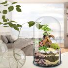 Ecosistema terrario BONSÄI POCKET decorando tu vida