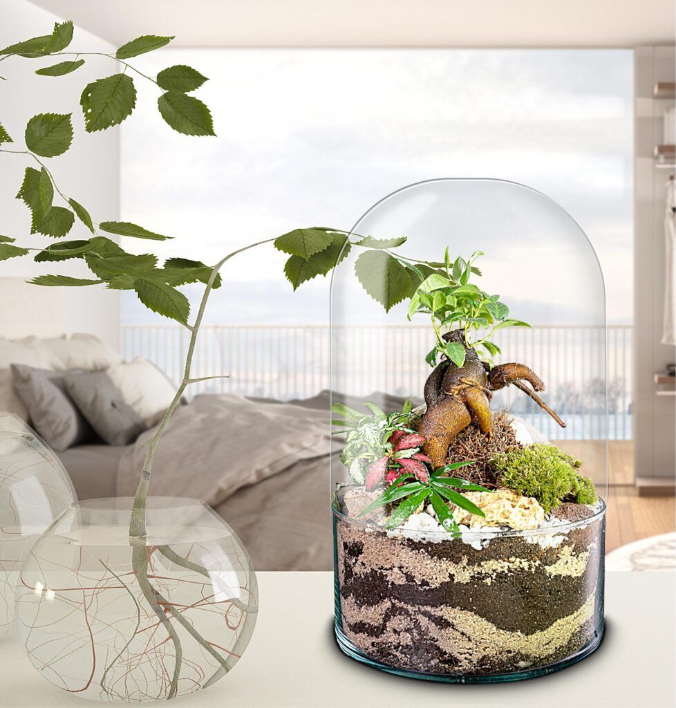 Ecosistema terrario BONSÄI POCKET decorando tu vida