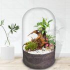 Ecosistema terrario BONSÄI POCKET en tu espacio favorito
