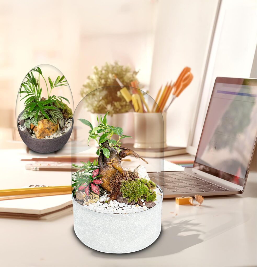 Ecosistema terrario BONSÄI POCKET junto a tu espacio de trabajo