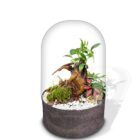 Ecosistema terrario Bonsái POCKET LOTO con base en color antracita
