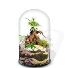 Ecosistema terrario Bonsái POCKET LOTO con base en terra nature