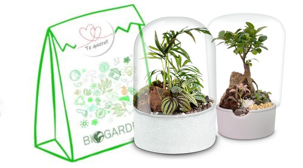 Así se envía un Ecosistema Biogarden, bolsa exterior