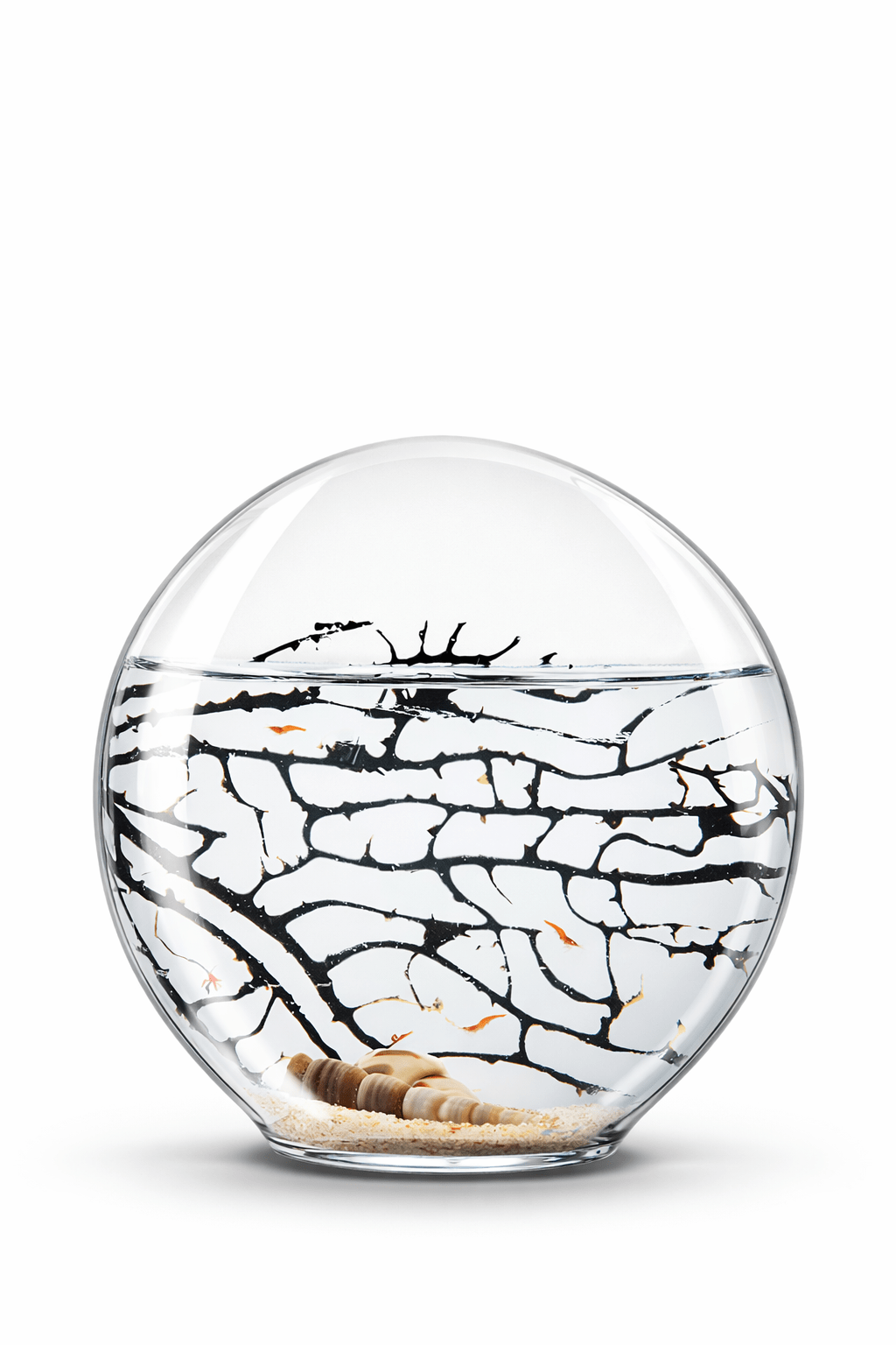 Ecosistema Biosfera ARCTICUMs, con 4 litros de agua. Perfecta visión interiro ecosistema-biosfera-autosostenible-perfecto-para-regalo-ecosfera