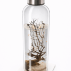 Ecosistema Biosfera Australis con base pedestal de cristal cuadrado