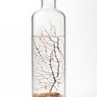 ecosistema-biosfera-indian-autosostenible-ecosfera