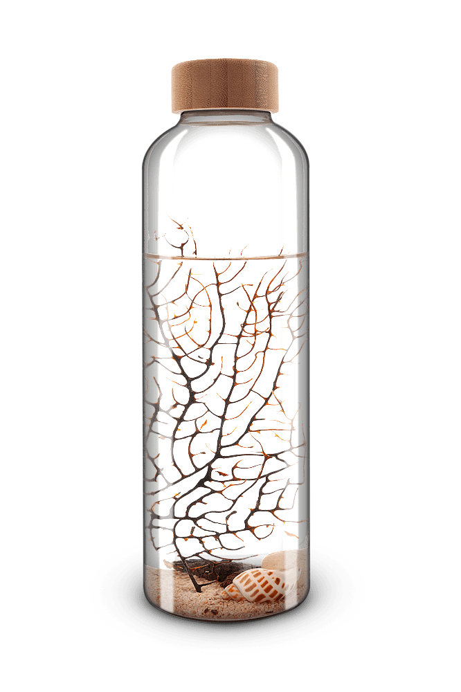 Ecosistema Biosfera ADRIATIC, con camarones ecosistema-biosfera-adriatic-contiene-camarones-solo-necesita-luz