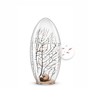 Ecosistema Biosfera de la colección Essenze, contiene pequeños camarones, solo necesita luz y puede vivir 10-15 años