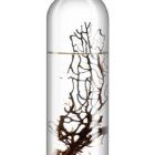 Ecosistema Biosfera BARRENTS B