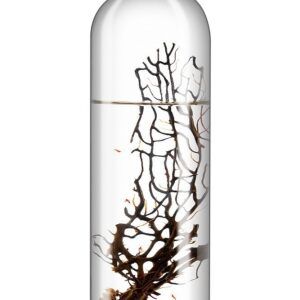 Ecosistema Biosfera BARRENTS (6,5 Ø x 28 cms.)