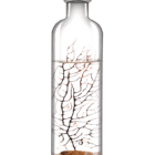 Ecosistema Biosfera BERING, un ecosistema cerrado y perfecto