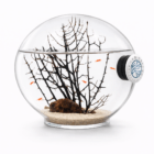 Ecosistema Biosfera Mediterraneum con detalle de elemento magnético limpiador