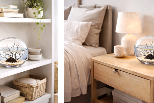 Biosfera, decoración y naturaleza Decoración y energía Ecosistemas Biosfera en los espacios de tu vida