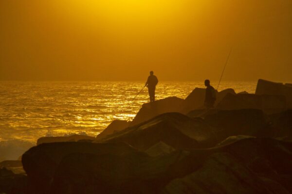 Biogarden, es un buen regalo Persona contemplando el mar