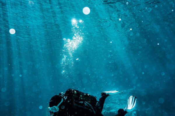 Biogarden. perfecto regalo de papá noel personas buceando