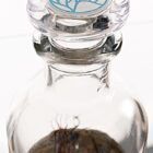 detalle-de-tapa-de-cristal-en-la-tapa-del-ecosistema-biosfera-indian-ecosfera