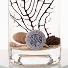 detalle-de-biosfera-con-iman-limpiador-en-biosfera-indian