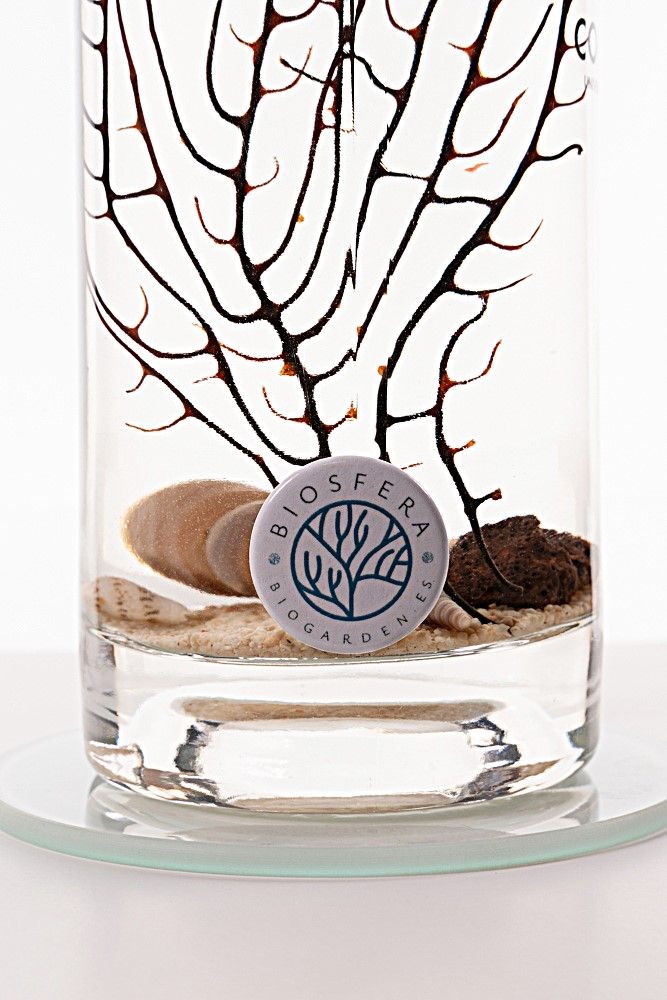 detalle-de-biosfera-con-iman-limpiador-en-biosfera-indian