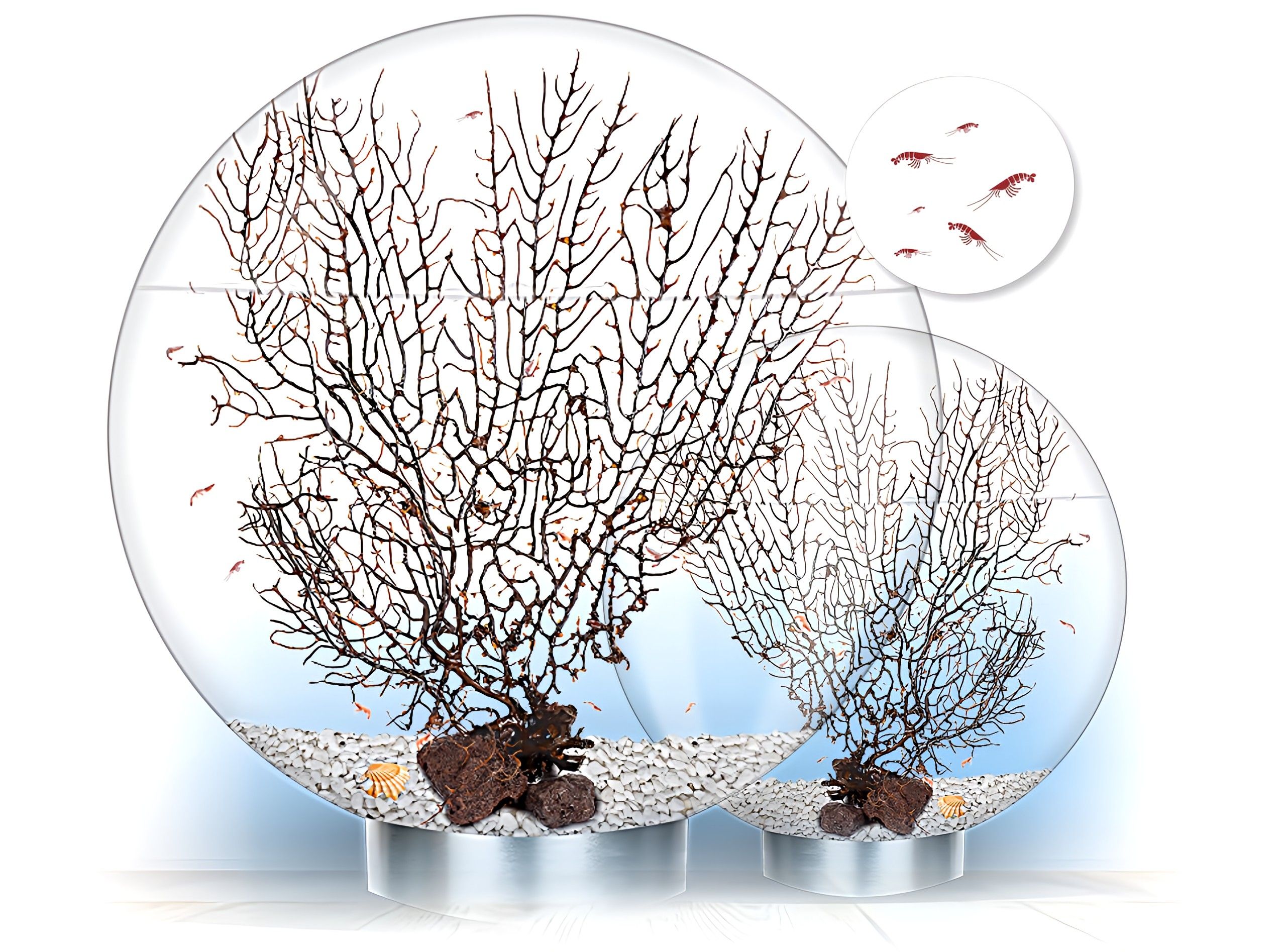 BIOSFERA: Un ecosistema cerrado y autosuficiente que solo necesita luz