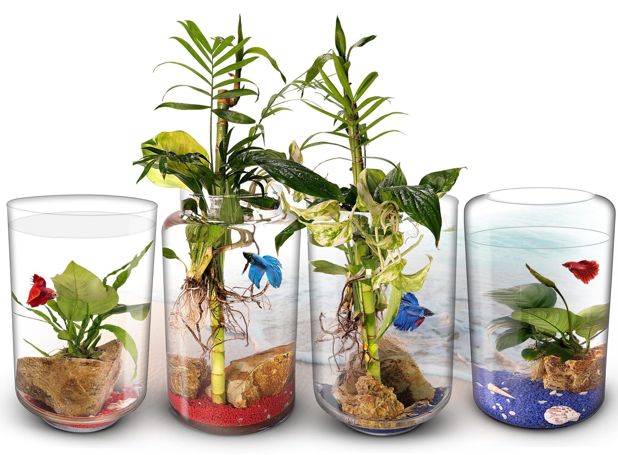 Terrarios BIOGARDEN: ecosistemas terrestres y acuáticos con muy poco mantenimiento