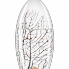 ecosistema-biosfera-celticum-c0n-pequeños-camarones-autosostenible