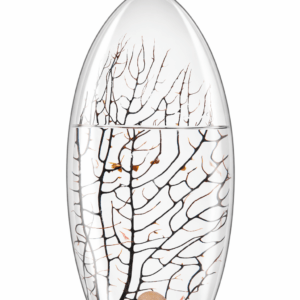 ecosistema-biosfera-celticum-c0n-pequeños-camarones-autosostenible