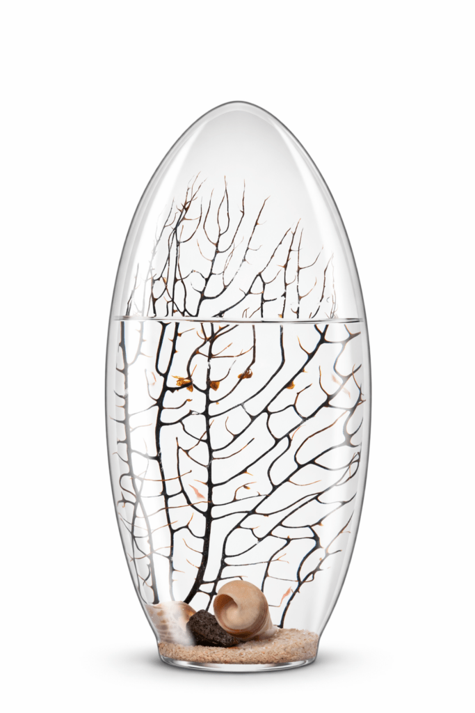 Ecosistema Biosfera CELTICUM ecosistema-biosfera-celticum-c0n-pequeños-camarones-autosostenible