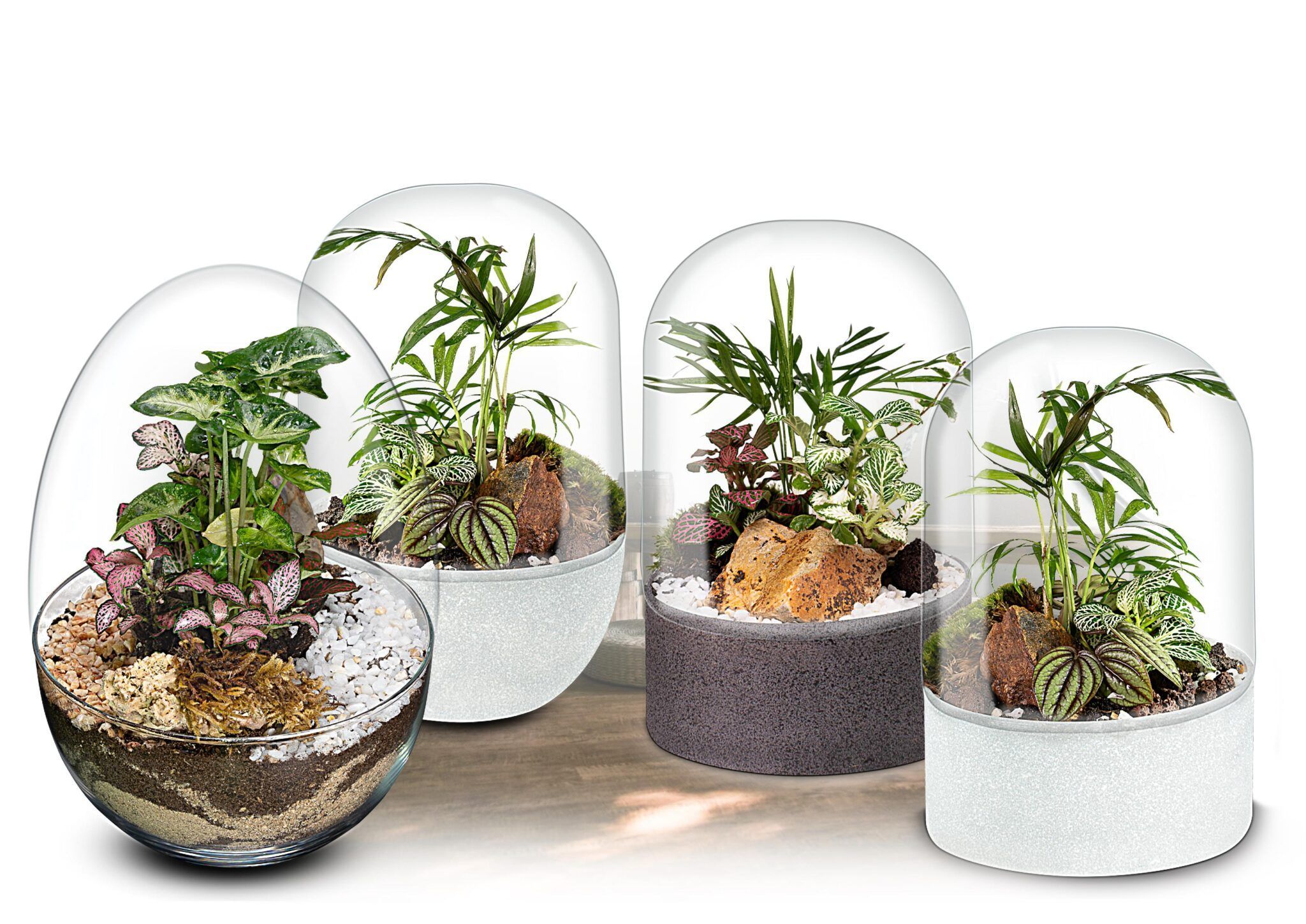 Ecosistemas Terrario POCKET: El regalo ideal para estas navidades