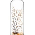 Ecosistema Biosfera ARABICUS, es autónomo, solo necesita luz