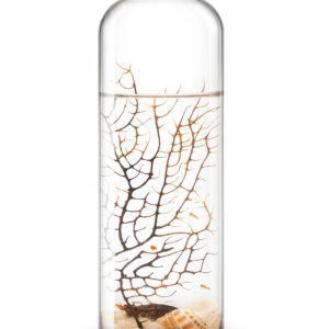 Ecosistema Biosfera ARABICUS, es autónomo, solo necesita luz