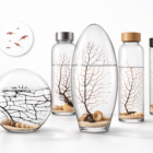 colección-de-ecosistemas-biosfera-con-pequeños-camarones-ecosferas