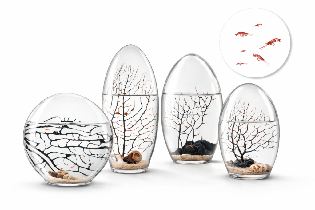 Ecosistemas biosfera colección ESSENZE Ecosistema-biosfera-colección-essenze- perfecto-diseño-entre-arte-y-ciencia