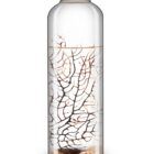 Ecosistema BIOSFERA ARABICUS, ecosistema autónomo, solo necesita luz. necesita luz,