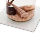 base_cuadrada_esfera_biogarden