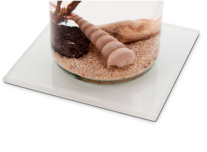 base_cuadrada_esfera_biogarden