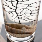 detalles-de-ecosistemas biosfera