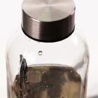 tapa-de-acero-de-un-ecosistema-biosfera- coralis-autosostenible