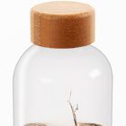 detalles-de-ecosistemas biosfera- tapa-de-madera-de-bambú