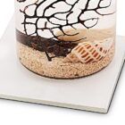 Detalle-de-biosfera sobre-peana-de-cristal- cuadrada